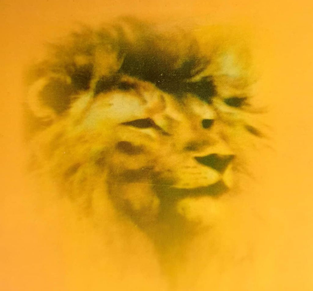 capstone-lion-new